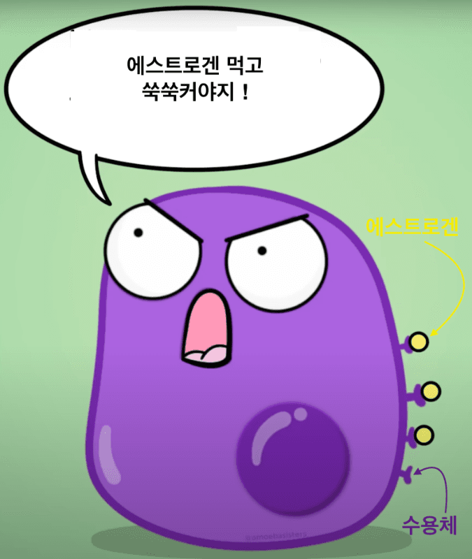 포스트 첨부 이미지